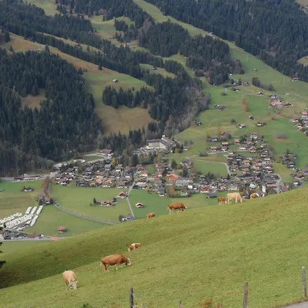 Apartment In In Simmental Bernese Oberland