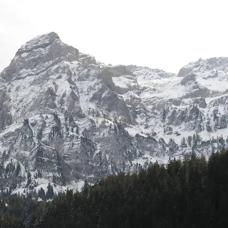 In In Simmental Bernese Oberland Apartment Lenk