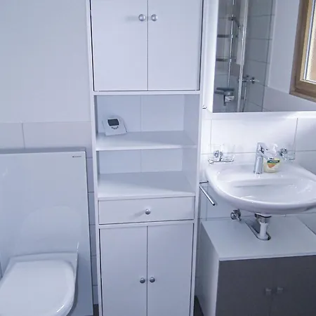 Apartment In In Simmental Bernese Oberland *