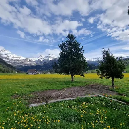 In In Simmental Bernese Oberland