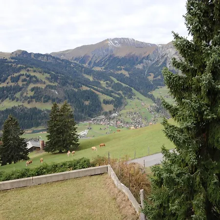 In Near Simmen Falls * Lenk