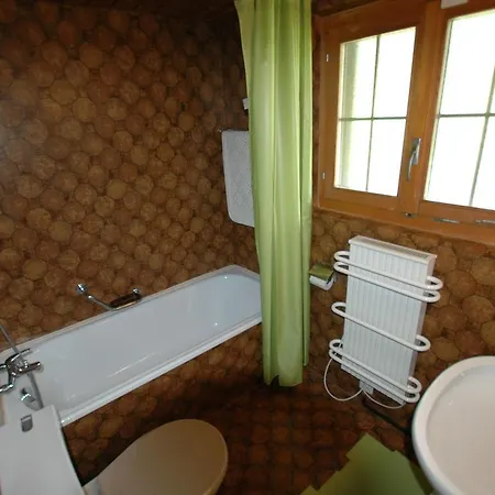 In In Simmental Bernese Oberland Appartement *