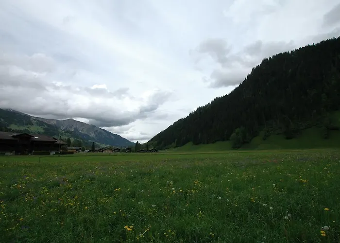 In Near Simmen Falls Lenk