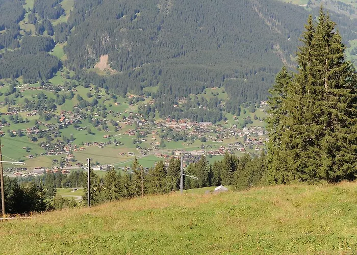 Apartament In Near Simmen Falls *