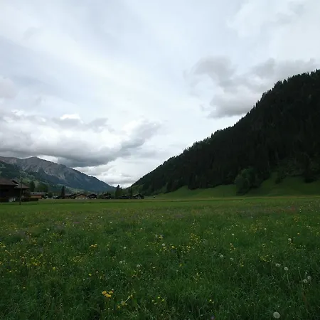 In Near Simmen Falls Lenk
